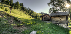 cabane nature