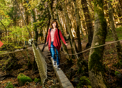 promenade en foret