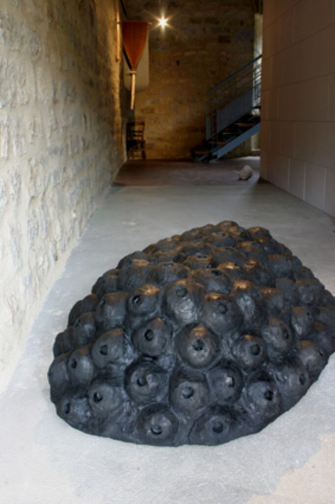 5392 PIERRES ENVIRON 3