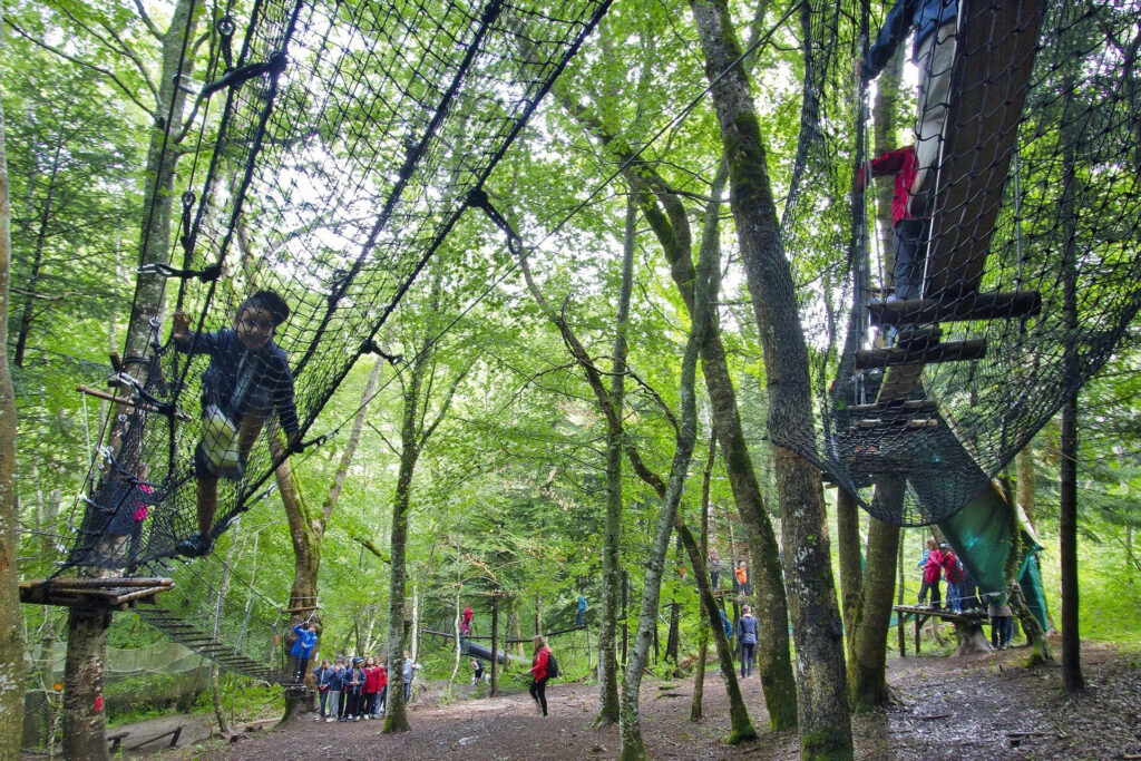 A13 15 new filet accro 13_40 arbres