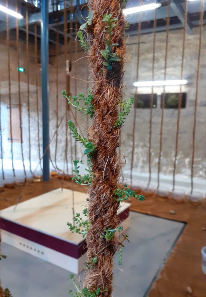 Drone pour cage à cactées 1