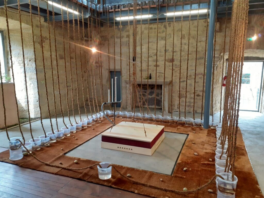 Drone pour cage à cactées 2