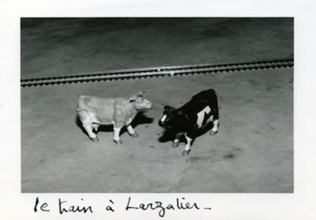 FRANCOIS BOUILLON et JOACHIM MOGARRA 2