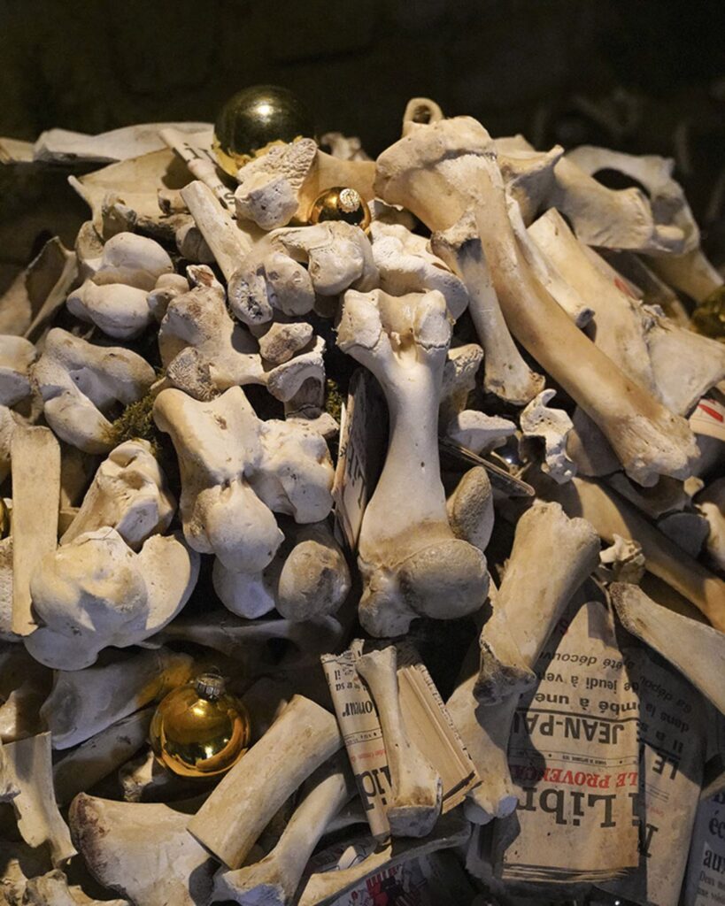 LE VENTRE A L’AIR 6