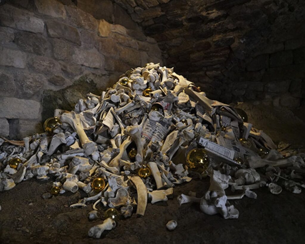 LE VENTRE A L’AIR 8